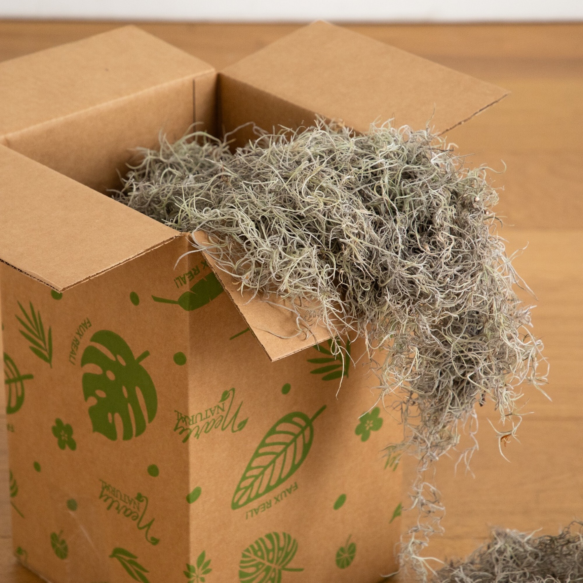 Natural Spanish Moss - 3Lbs