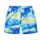 thumbnail image 1 of Odeerbi 2-16 Años Bañadores de Playa Para Niños Bañadores Estampados Bañadores de Secado Rápido Shorts de Natación, 1 of 7