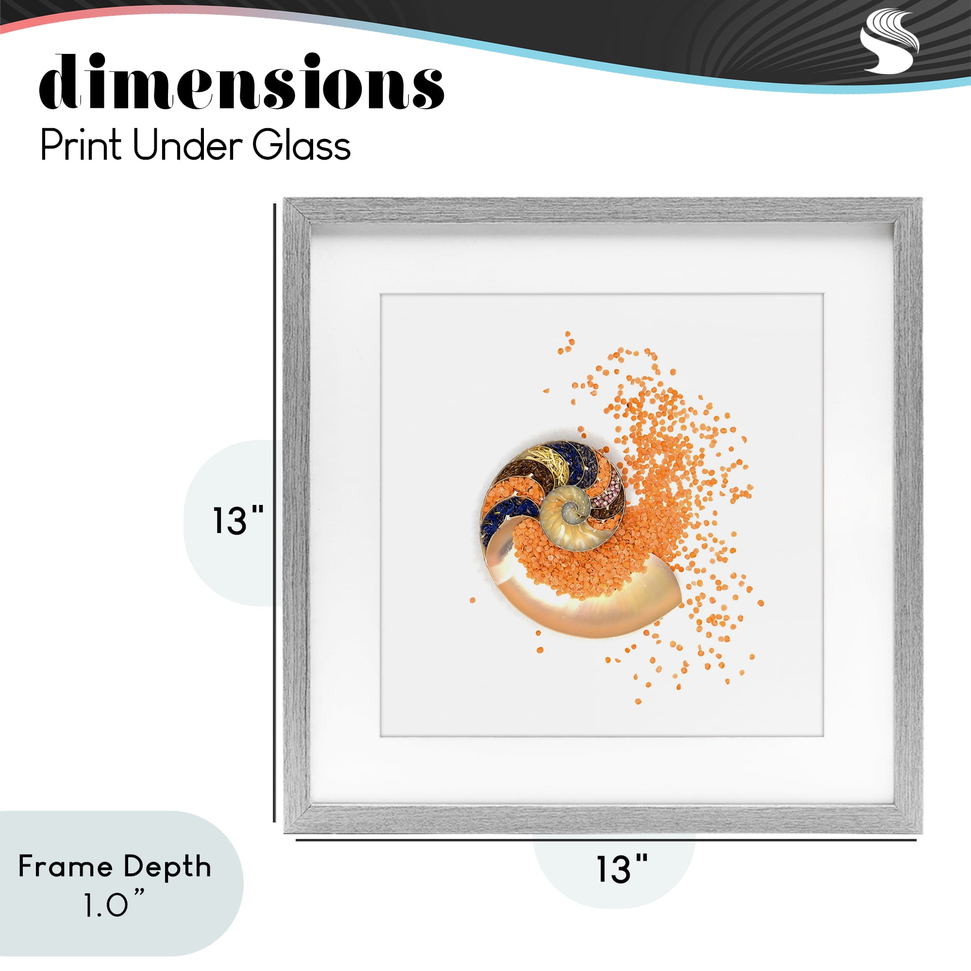 Stupell Industries Orange Nautilus Spiral Gray Framed Print Under Glass, design by Beth Adoette