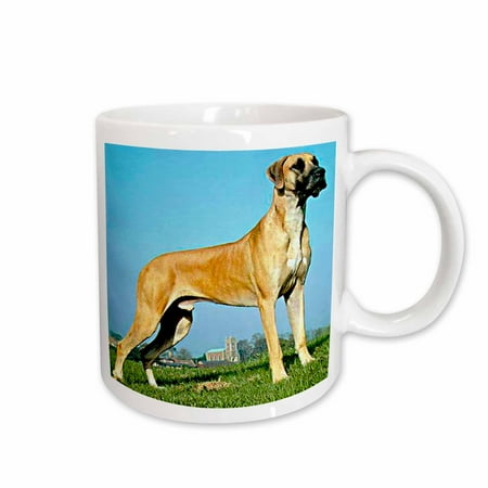 

3dRose Great Dane Ceramic Mug 11-ounce