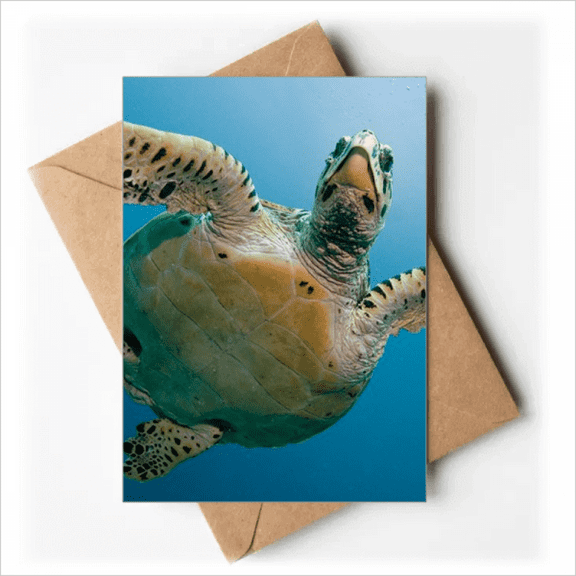 Ocean Blue Water Turtle Science Nature Picture Greeting Cards You are Invited Invitations