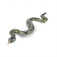 thumbnail image 3 of Large Inflatable Snake, 1pc Inflatable Fake Snake Garden Swimming Pool Inflatable Snake, Floating Inflatable Snake PVC Inflatable Realistic Fake Snake, 3 of 5