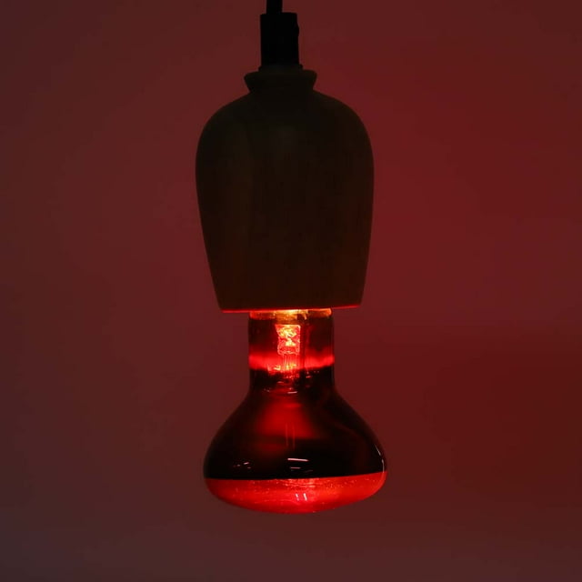 Reptile Light,E27 R63 Infrared Reptile Reptile Light Bulb Pet Supplies Masterfully Created
