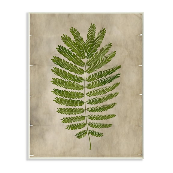 Stupell Industries Plant Drawing Parchment Green Design Unframed Art Print Wall Art, 13x19, by Ziwei Li