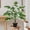 Multicolor-3A, variant on MMJ Artificial Monstera Plant 25.6in Realistic Fake Potted Plant for Living Room Office Home Decor