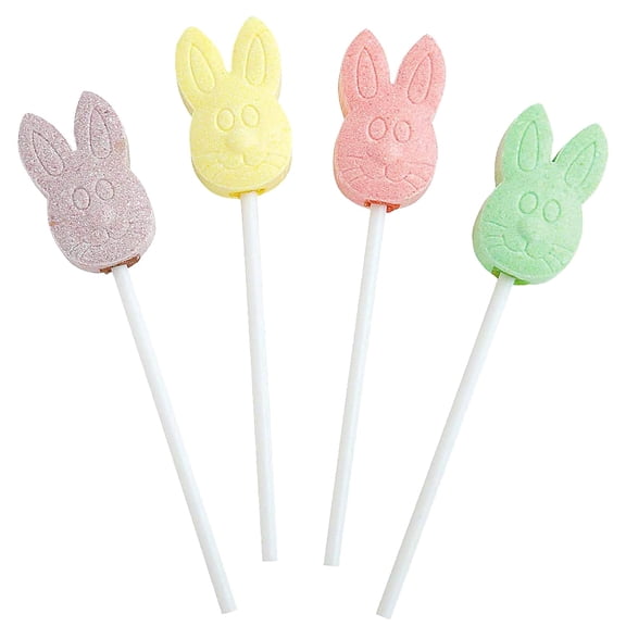 Fun Express Easter Bunny Lollipops Assorted Fruit Flavors 46 Count 1 lbs