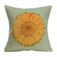 thumbnail image 2 of Summer Style Pillowcase Natural Style Pillowcase Suitable For Living Room Sofa Car Seat Size Is 17.71x17.71 Inches, 2 of 6