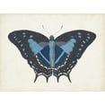 thumbnail image 2 of Vision Studio  18x15 Black Ornate Wood Framed with Double Matting Museum Art Print Titled - Beautiful Butterfly III, 2 of 4