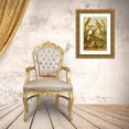 thumbnail image 3 of Christian Anton Goering 19x24 Gold Ornate Framed and Double Matted Museum Art Print Titled - The North American Vogelwelt Pl34 (1891), 3 of 4
