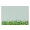 thumbnail image 1 of Green Cutting Board, Fresh Grass Lawn Horizontal Pattern Nature Outdoors Meadow Gardening Theme, Decorative Tempered Glass Cutting and Serving Board, Small Size, Lime Green White, by Ambesonne, 1 of 1