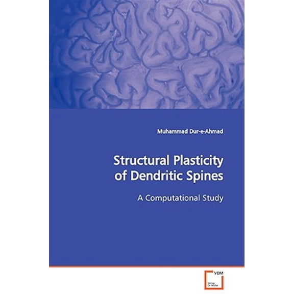 Pre-Owned Structural Plasticity of Dendritic Spines (Paperback)