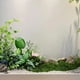 thumbnail image 4 of Xihbxyly Liquidación de Ropa de Mujer Musgo Simulado Musgo Artificial Plantas Verdes Paisajismo Decorativo Césped En Maceta Pavimento Bricolaje Musgo Falso Filamentoso, 4 of 7