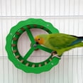 thumbnail image 4 of BotaniNest Parrot Exercise Wheel And Steering Interactive Bird Activity Center With Chewable Wooden For Conures Budgies 1pc, 4 of 4