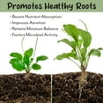 thumbnail image 4 of Terra-Preta Inspired Potting Soil (12 Quarts), Biochar-Enriched Sustainable Mix for Indoor/Outdoor  Plants, 4 of 9