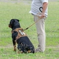 thumbnail image 3 of Arnés táctico para perros Beebiepet Heavy Duty para perros grandes, 3 of 5