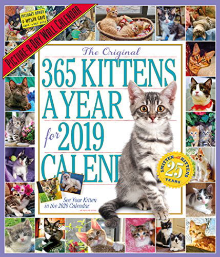 the-365-kittens-a-year-picture-a-day-wall-calendar-2019-walmart