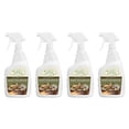 thumbnail image 1 of Star Brite Outdoor Collection Stain Remover Clean Spray (4 Pack), 1 of 6