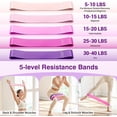 thumbnail image 6 of Rhino Valley Home Pilates Kit for Women, Pilates Workouts Set, Pilate Equipment with Circle Ring and Ball, Resistance Bands,Guide, Yoga Fitness Essentials Full Body Exercise Home Kit for Beginners, 6 of 8