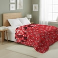 thumbnail image 2 of Dungeons & Dragons Roll For Initiative Twin/Full Quilted Blanket 60x90 inches, Kids Character Bedding, 2 of 6