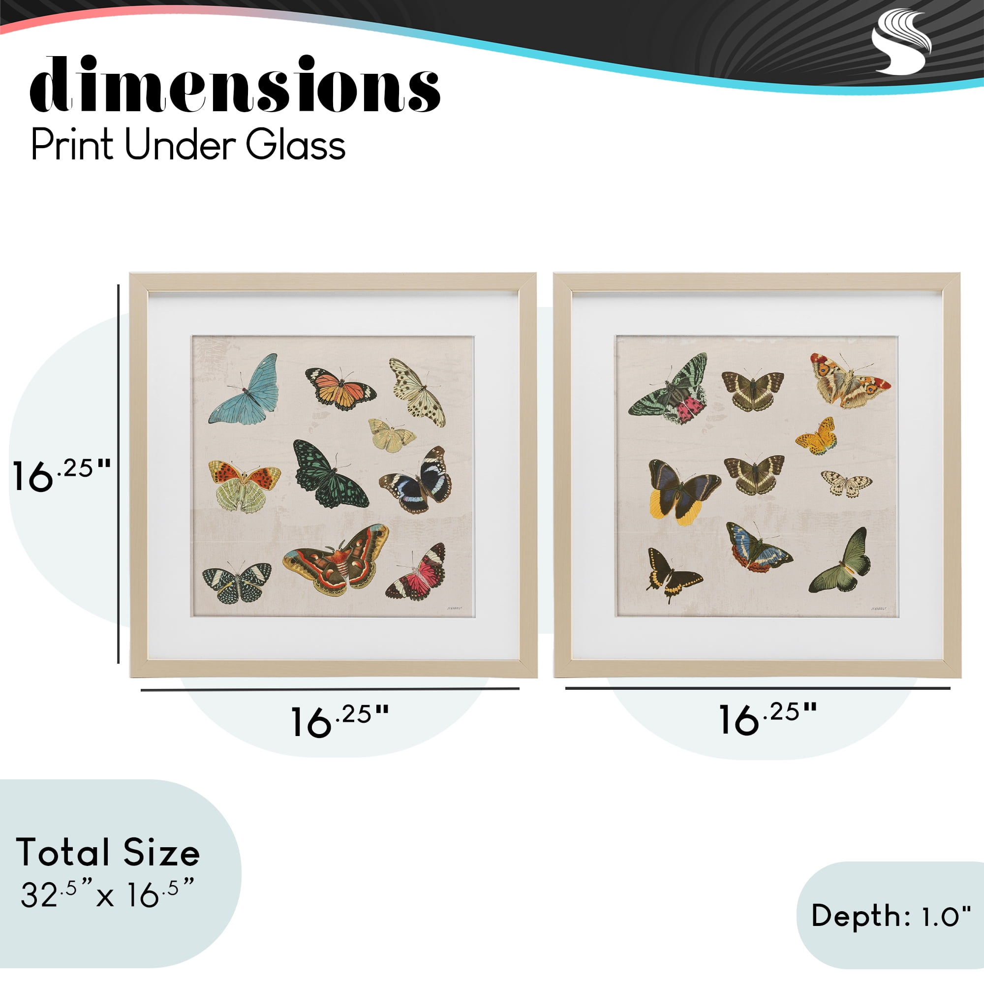 Stupell Industries Collection of Vintage Butterflies 2 Piece Birch Framed Print Under Glass Set, design by Dan Meneely