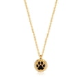 thumbnail image 3 of Anavia Dog Paw Essential Oil Diffuser Crystal Necklace Aromatherapy Gift Set - Gold Necklace & Lemongrass Oil, 3 of 7