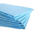 thumbnail image 4 of Platinum Care Pads Disposable Underpads Size 17"x24" 22 Gram 300 Case (3 bags of 100), 4 of 6