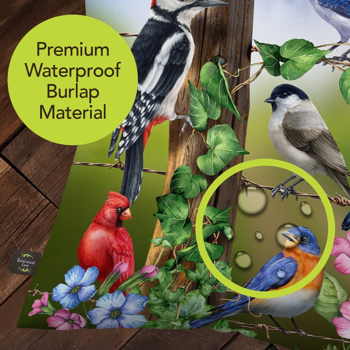 Briarwood Lane Spring Indoor/Outdoor Pillow 17x17 Country Birds For Spring Pillow