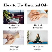 GreenHealth Eucalyptus Essential Oil – 16 fl oz (473 ml) – 100% Pure & Natural – Aromatherapy Oil in Aluminum Bottle – for Diffuser, Cleaning, Room Spray, and Home Fragrance