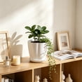 thumbnail image 5 of romoty Flower Petal Shaped Plastic Plant Pot with Saucer White, 6.3 in Lightweight Decorative Succulent Planter with Drainage Hole for Indoor Outdoor Desk Garden Decor, 5 of 6