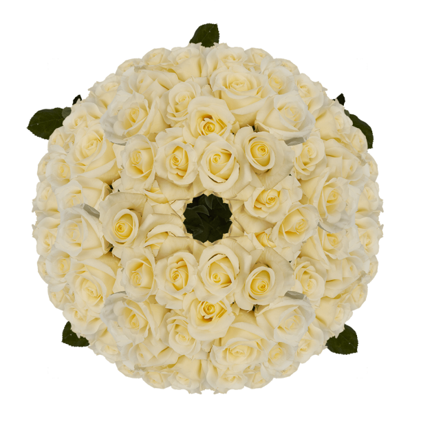 250 Stems Of White With Pale Yellow Center Blizzard Roses Beautiful Fresh Cut Flowers Express Delivery Walmart Com Walmart Com