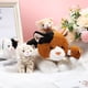 thumbnail image 4 of Peluche Skylety Cat con bebés en el vientre, 5 unidades, 4 of 6