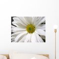 thumbnail image 1 of White Daisy Wall Mural by Wallmonkeys Peel and Stick Graphic (18 in W x 14 in H) WM105647, 1 of 4