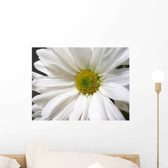 White Daisy Wall Mural by Wallmonkeys Peel and Stick Graphic (18 in W x 14 in H) WM105647