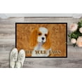 thumbnail image 2 of Carolines Treasures SS4877MAT 18 X 27 In. Blenheim Cavalier Spaniel Wipe Your Paws Indoor Or Outdoor Mat, 2 of 4