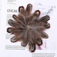 thumbnail image 4 of 100 Pcs 2-3 Inch Natural Pheasant Feathers Bulk Various Colors Natural Feather Crafts Clothing Hat Sewing Decorating, 4 of 5