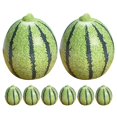 thumbnail image 1 of Mini Artificial Watermelons Resin Models for Decor 8Pcs Pack, 1 of 1