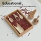 thumbnail image 3 of Juguete De Herramientas De Contenedor Sensorial, Sensación Cómoda En La Mano, Herramientas Educativas De Madera Para Contenedor Sensorial, Creativas Para El Aprendizaje Motor, 3 of 7