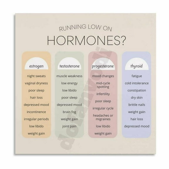 Hormone Knowledge Guide Poster Canvas Painting Wall Art Poster for Bedroom Living Room Decor