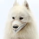 thumbnail image 5 of Máscara De Perro Yuyangstore Hocico Duradero Beige, 5 of 8