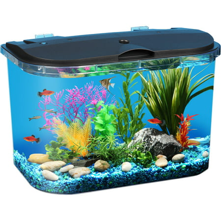 Hawkeye 5-Gallon Panaview Aquarium with LED Lighting and Power (Best Light Spectrum For Reef Tank)