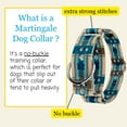 thumbnail image 3 of Country Brook Petz® 1 1/2 inch Puppy Picnic Martingale Dog Collar, Medium, 3 of 6