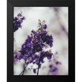 thumbnail image 2 of Straatsma, Leah 15x18 Black Modern Framed Museum Art Print Titled - Purple Dried Hydrangea, 2 of 5