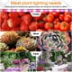 thumbnail image 5 of Billuyoard Invernadero USB Clip-on LED Regulable Grow Light Sótano Flor de interior Planta suculenta Cultivo de plantas de semillero Lámpara 1250 Lumen Jardín y Patio 30W 2 cabezales, 5 of 6
