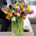 thumbnail image 1 of Flower Bulbs - Tulip Assorted (25 Bulbs), 1 of 1