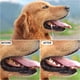 thumbnail image 4 of ZHAOCHENG Kit de raspador dental para perros, herramienta bucal de acero inoxidable, herramienta de limpieza de dientes para mascotas con estuche de 5 piezas, 4 of 5