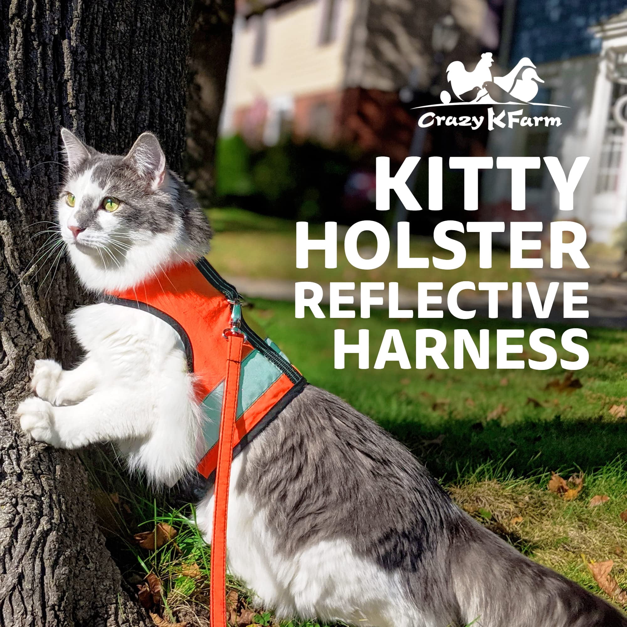 Kitty Holster Reflective Safety Harness (Made in USA) Color: Outrageous Orange, Size: S/M