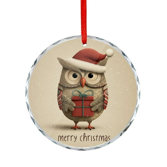 Christmas Owl with Santa Hat And Gift-1 Christmas Ornament for Xmas Tree Christmas Ornaments 2025