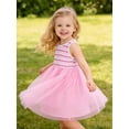 thumbnail image 4 of HILEELANG Toddler & Little Girls Striped Ribbed Tulle Dress, Blush Pink Sleeveless Summer Party Dress, 2T-7T, 4 of 10