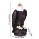 thumbnail image 3 of Adorno Patriótico de Resina con Forma de Ave Rapaz de Cabeza Blanca - Decoración de Aves, Negro MNFD, 3 of 8