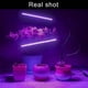 thumbnail image 3 of Luces de cultivo LED para plantas de interior 20 LED, luces de cultivo de plantas, bombilla de lámpara de cultivo de escritorio con clip brillar Electrónica, 3 of 5